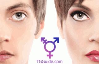 chat en vivo trans|TGGuide Trans Chat with Profiles